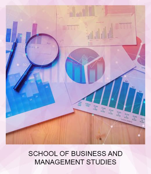 School of Business & Management Studies